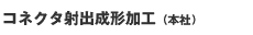�R�l�N�^�ˏo���`���H�i�{�ЁE����H��j